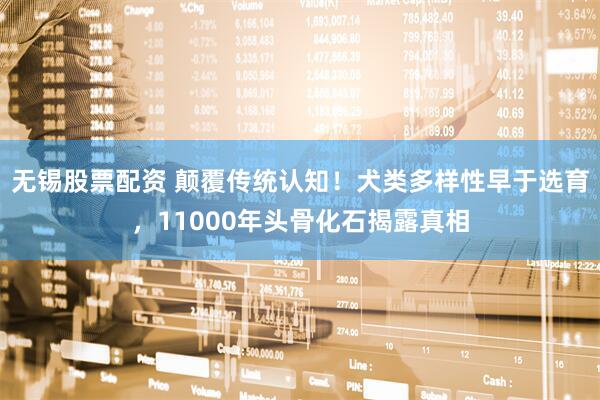 无锡股票配资 颠覆传统认知！犬类多样性早于选育，11000年头骨化石揭露真相