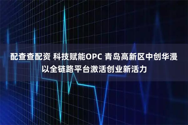 配查查配资 科技赋能OPC 青岛高新区中创华漫以全链路平台激活创业新活力